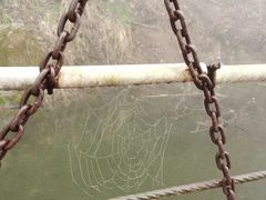-西安祥峪森林公园