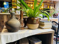 -看见远方·莫干遥远的山民宿