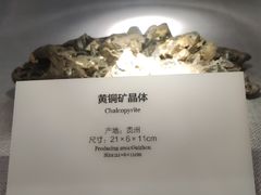 -长江文明馆