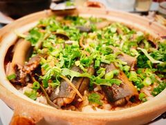 煲仔饭-沙龙酒家