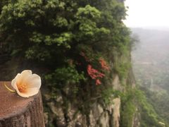 -溪口-滕头旅游景区