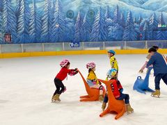 -世界之窗阿尔卑斯冰雪世界