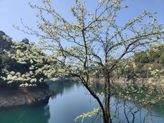 -千岛湖东南湖区