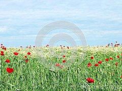 -大观园昆山峡漂流