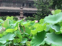 -宝光寺