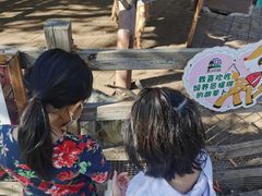 -北京鹿世界主题园