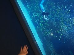 -邯郸海洋世界