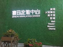 -证大喜玛拉雅中心