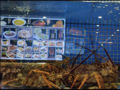 -益利大酒楼(井岸店)