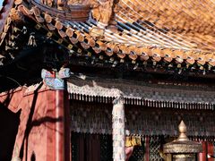 -大召无量寺