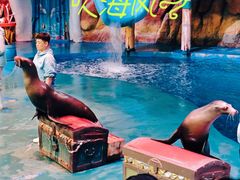 -烟台海昌鲸鲨海洋公园