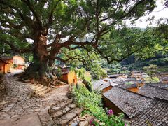 -杨家堂村