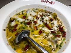 老坛酸菜鲈鱼-新渝城·始于2000年(淘金店)
