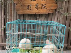 -懒人盐府人家(安贞店)