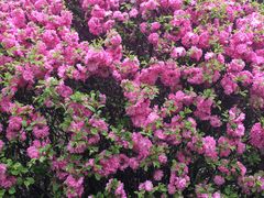 -中国建设银行哈尔滨培训中心