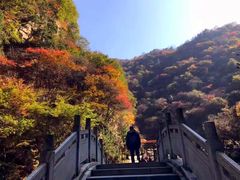 -少华山国家森林公园