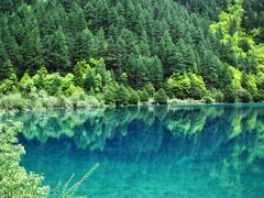 -九寨沟-树正沟