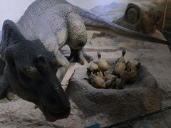 -国家自然博物馆