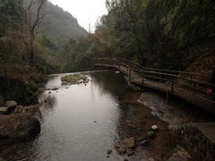 -东天目山风景区
