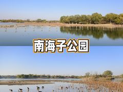 -南海子公园