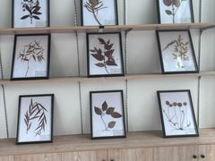 -广西壮族自治区药用植物园