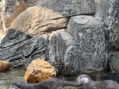 -香港海洋公园