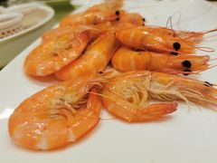 白灼虾-新群海鲜酒楼