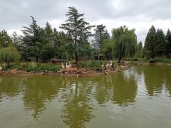 -云南野生动物园