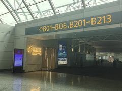 -广州白云国际机场-T1航站楼