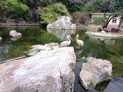 -昆明动物园