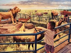 -陕西自然博物馆