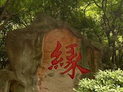 -杭州黄龙洞