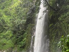 -莫里热带雨林景区