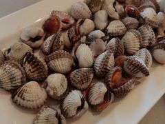 -华盛丰温州大排档(东三环南路店)