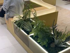 -喜茶(广州保利中环店)