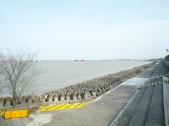 -上海滨江森林公园