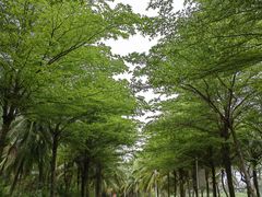 -白沙门生态公园