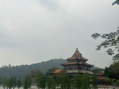 -顺峰山公园
