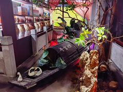 -寻宝记绍兴菜(鲁迅路店)