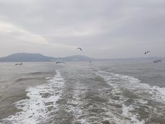 -湄洲岛