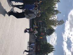 -龙口南山旅游景区