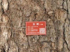 -北京上方山国家森林公园