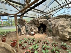 -上海都市菜园