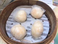 晶莹鲜虾饺-添好运点心专门店(北角店)