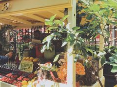-The Grounds of Alexandria