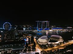 -新加坡瑞士史丹福酒店