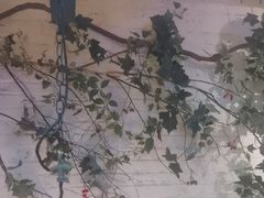 -可口香·非遗老号烧烤(南岗直营店)