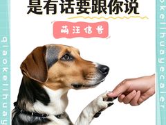 -萌宠之家·腊肠犬·马尔泰·小体犬舍