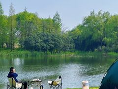 -贡湖湾湿地公园