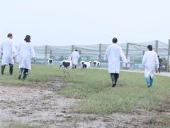 -盐城丹顶鹤湿地生态旅游区